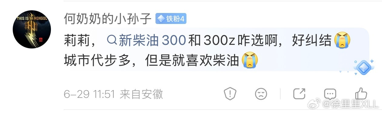 这纯粹就是被我洗脑了。全新坦克300会上Hi4-Z大家都知道了。所以有人就在纠结