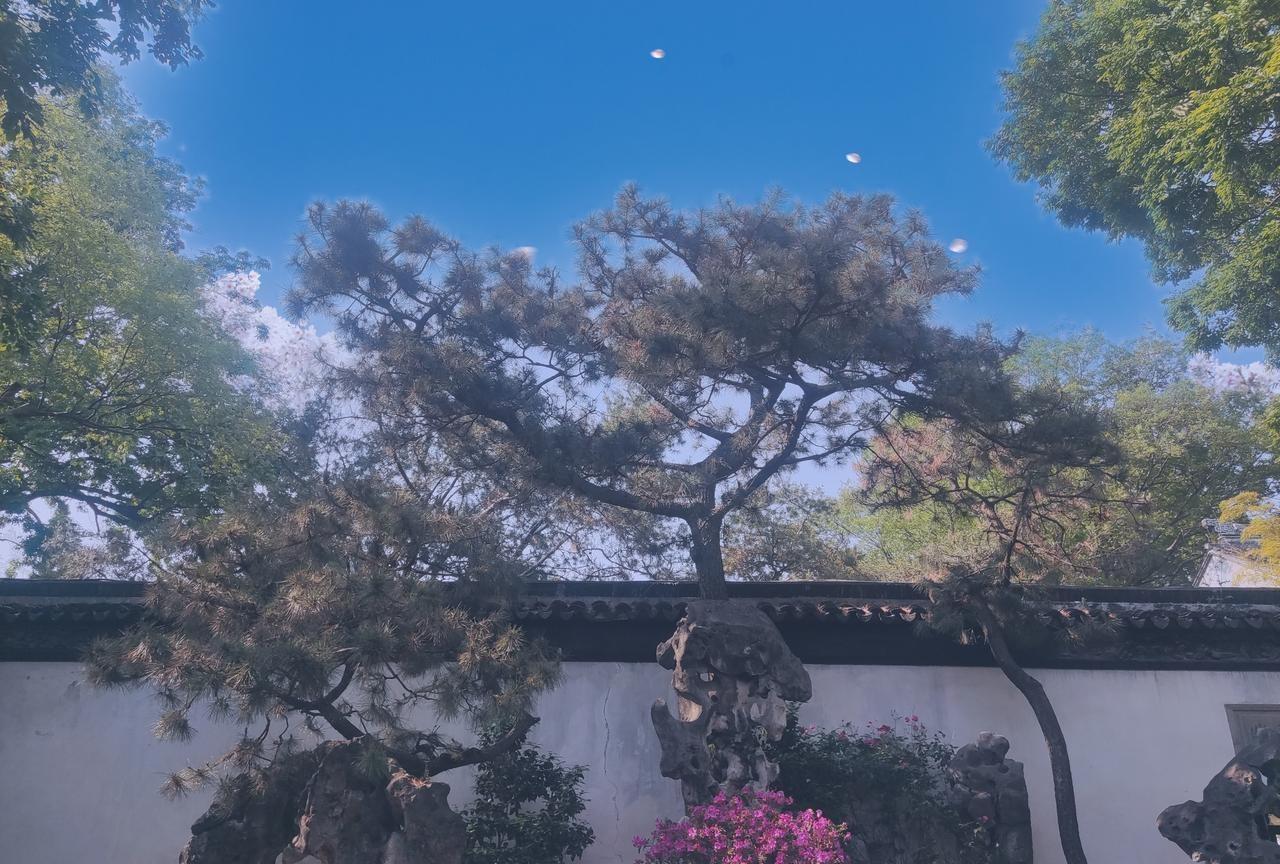 领导面对老实人始终会为其套上一个悖论；多数情况下领导都是认可老实人的扎实工作态