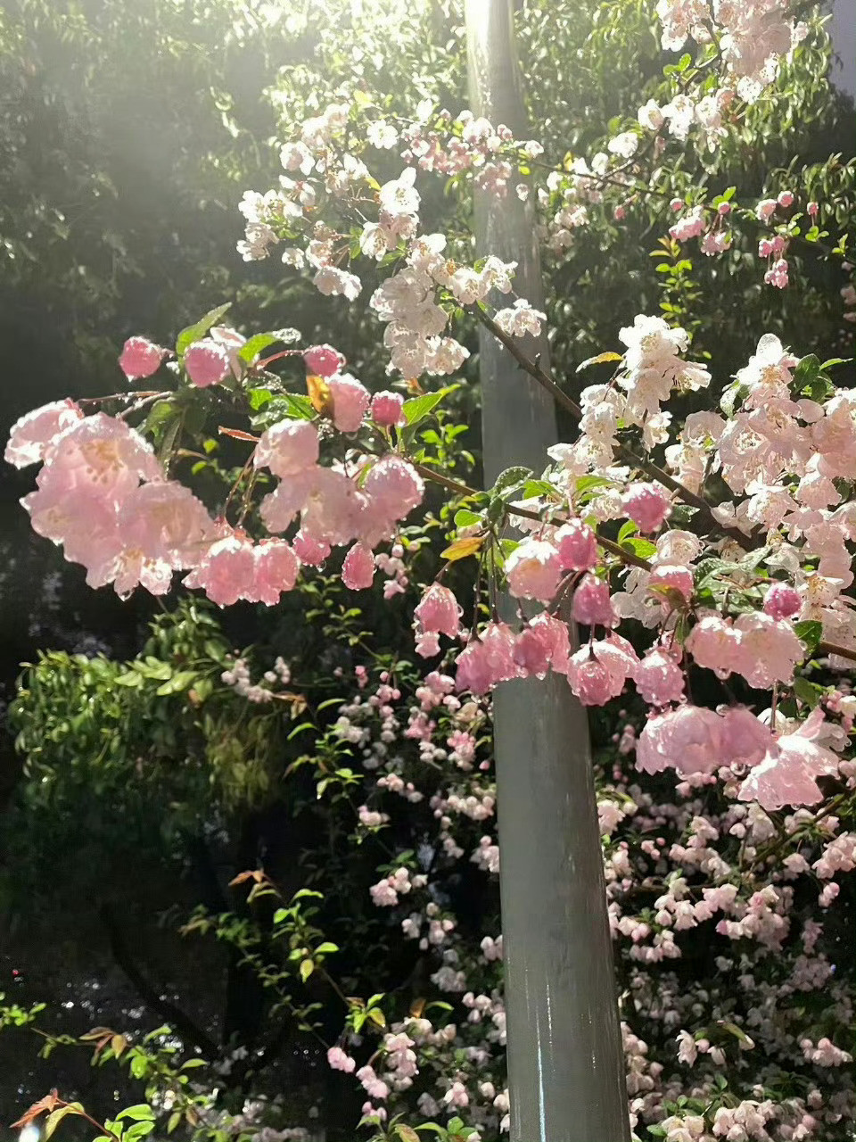 治愈人心的朋友圈文案1、要喜欢那些心情不好也不舍得凶你的人2、愿所有的