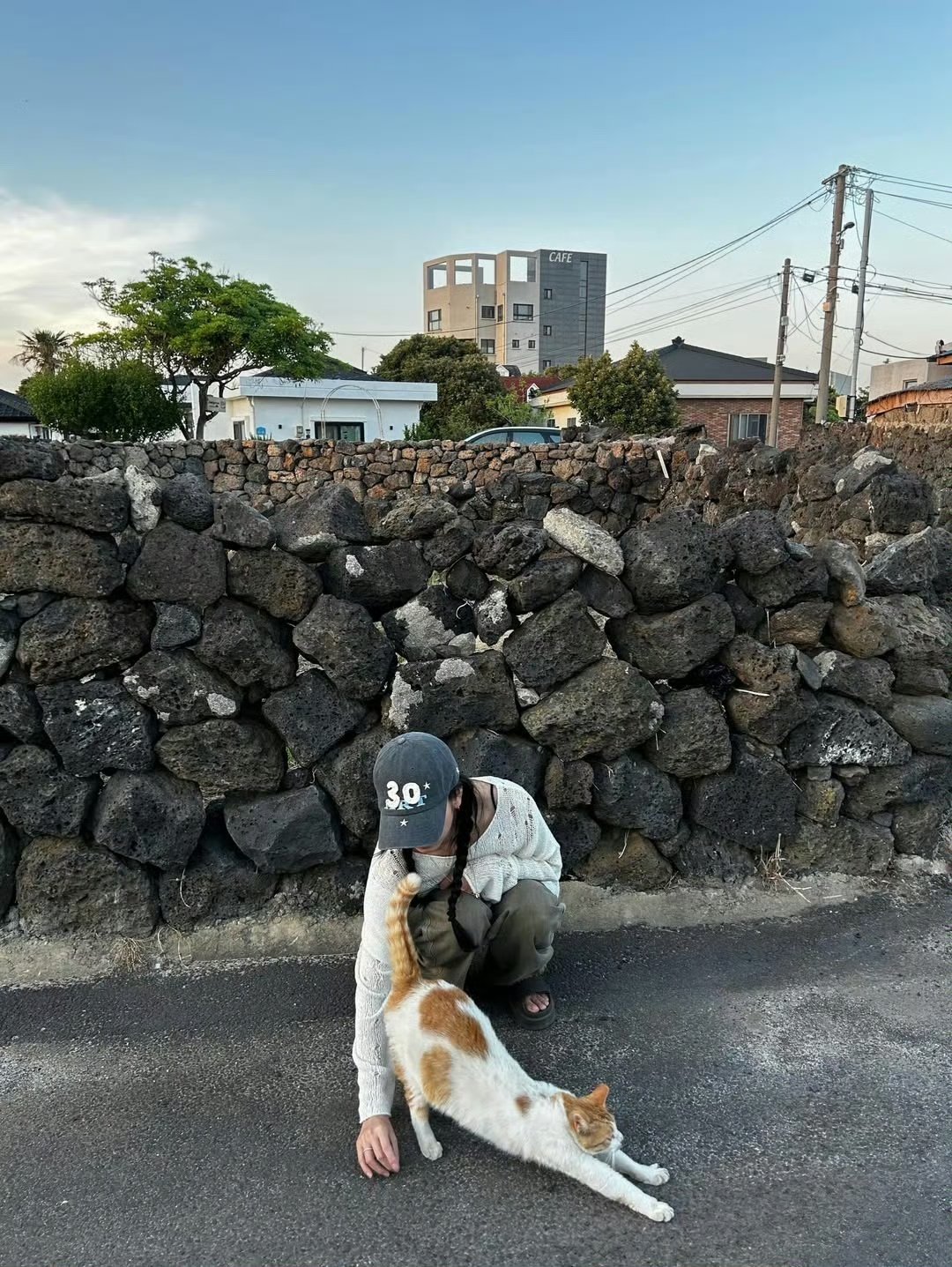 这个猫好丑申请换成我家茶姐