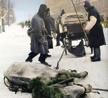 这是1948年1月，奉天（沈阳）天寒地冻，大雪封路，一匹瘦骨嶙峋的马因饥寒交迫永