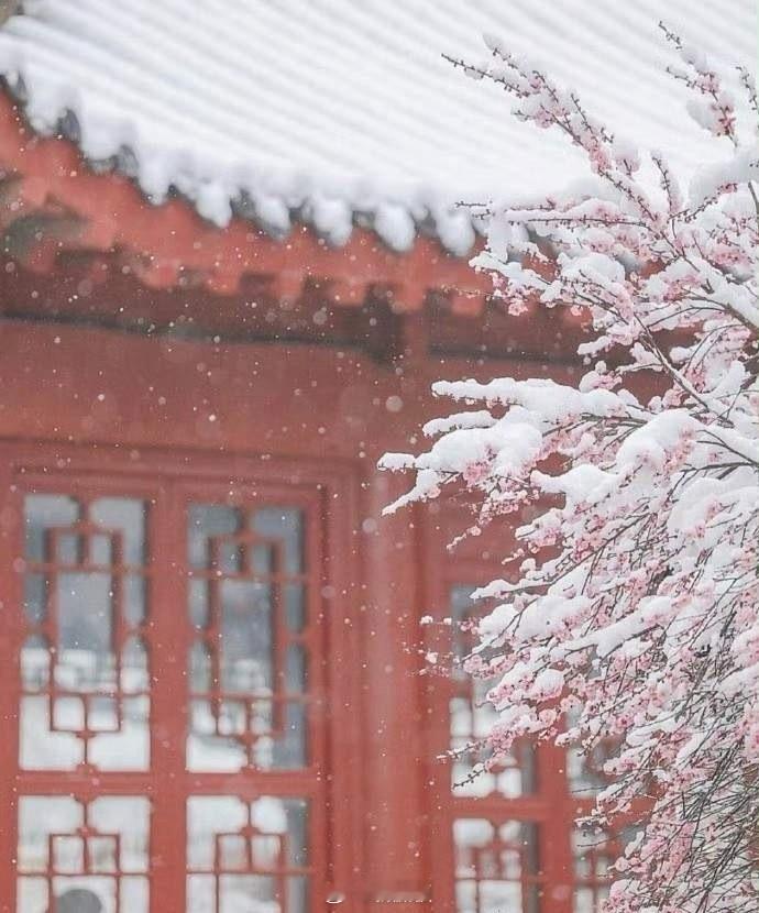 小时候听大人说，冬至大过年。就一直以为冬至的至，是到来的意思。长大了才知道，冬至