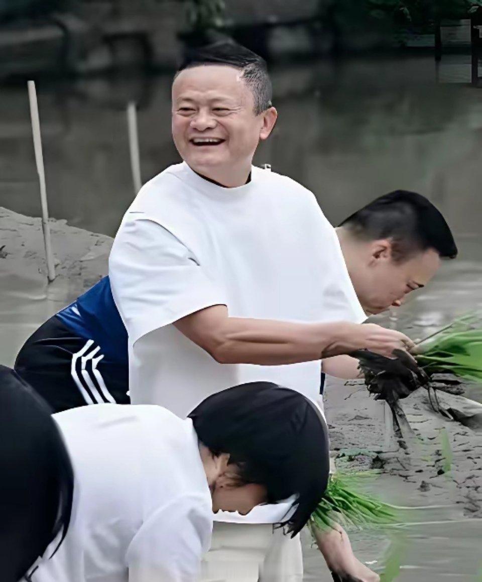 智谱市值万亿和马云带队插秧最近几天，智谱暴涨，过了万亿，市值超过阿里的一半了。同