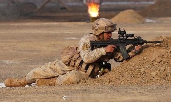 看看这位战术大佬的QBZ191都加了什么，前握把，战术灯，增高架激光盒和瞄准镜；