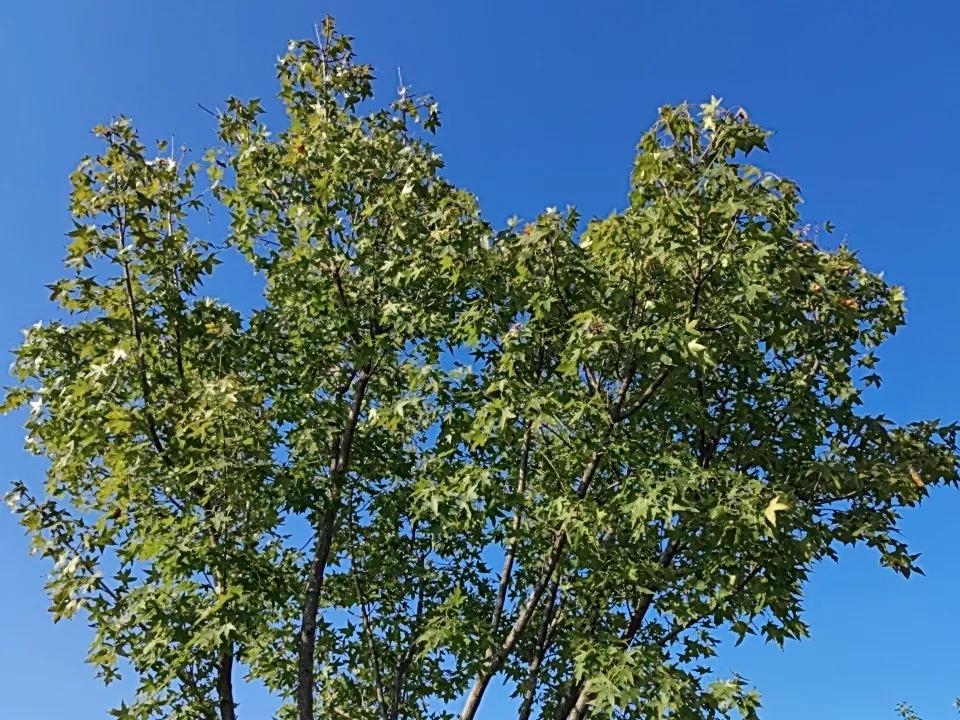 原来国企也是抵抗不了风险，在公园的长凳上，听着邻居大妈说到了一个很残酷的现实，同