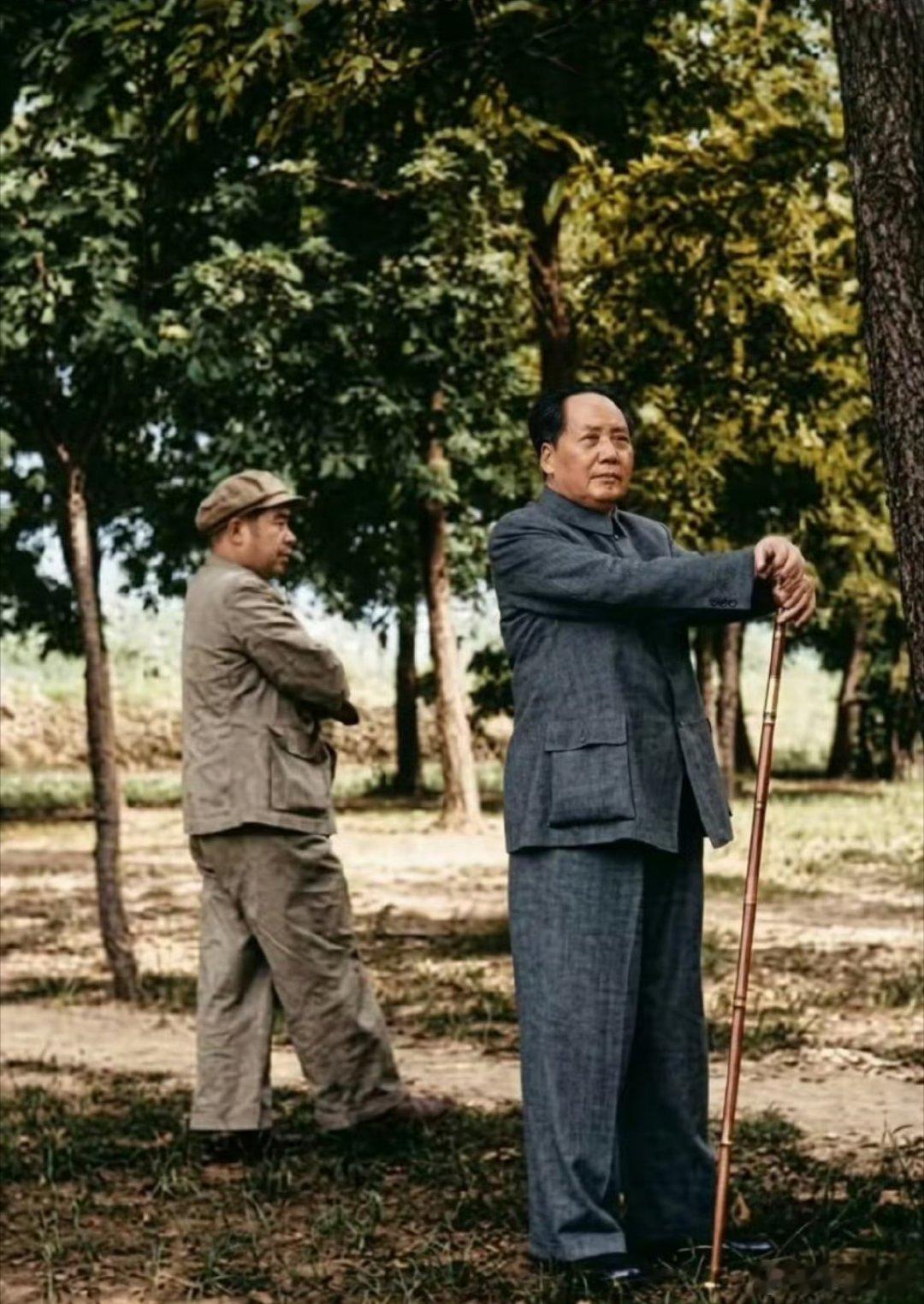 教员这张我居然也是第一次见！老人家凝视远方