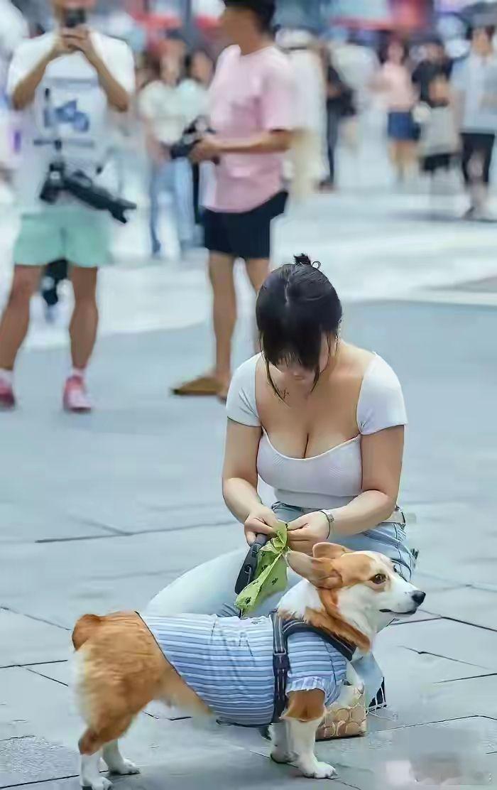 街头偶遇小狗，不知这个小短腿的狗叫什么？