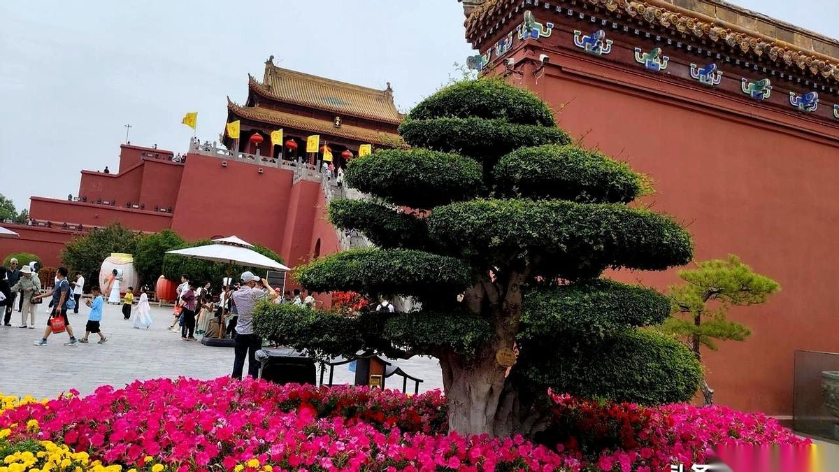 花了几万块，跑了一个月，横跨8个省。回来后，朋友问我玩了啥，我脑子一片空白，就