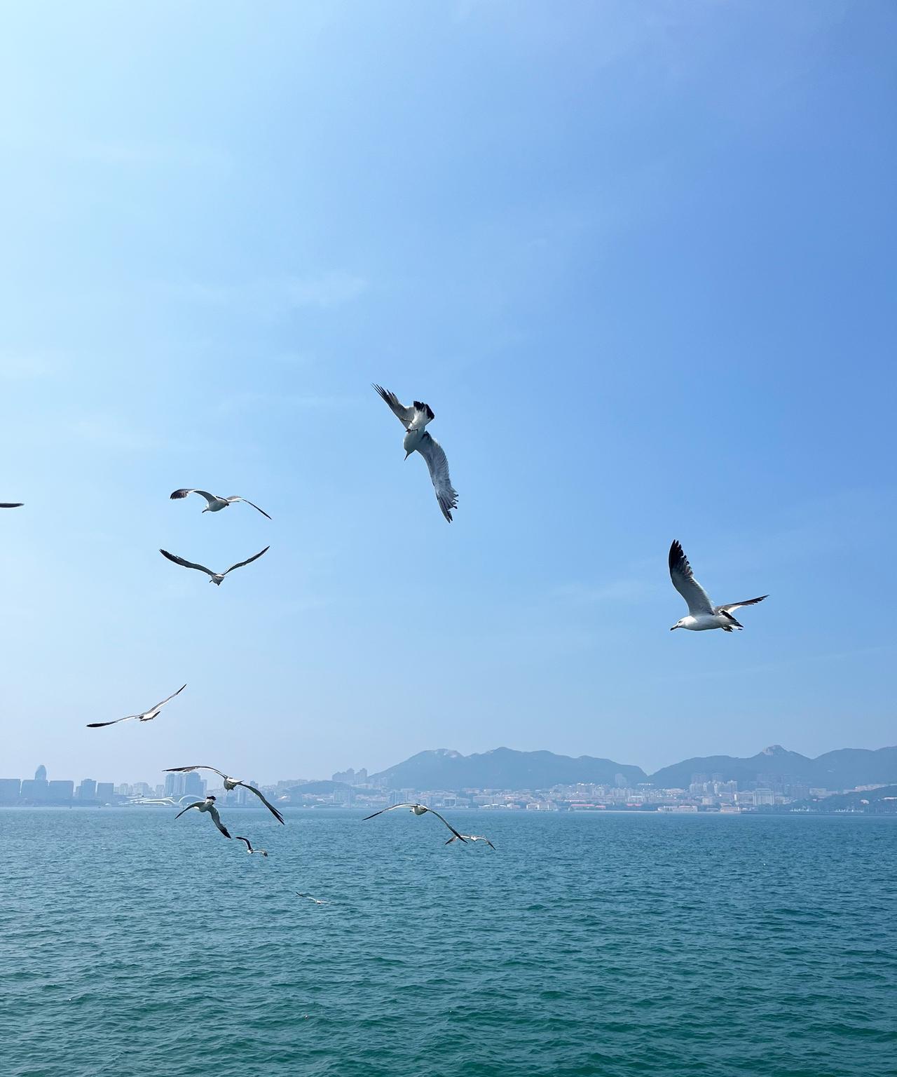 一段令人大彻大悟的话：“没事不要和任何人搅和在一起，什么聚会，什么闲聊，能免就免