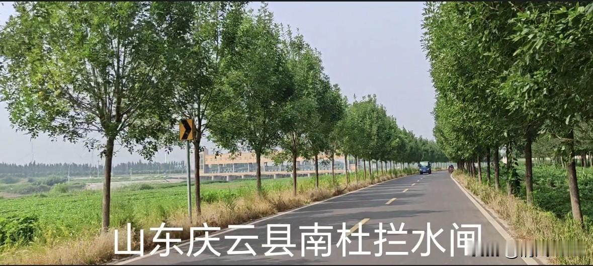 山东庆云县马颊河上的南杜拦河闸，该闸地处南杜村南侧一公里，是马颊河庆云段第一道拦