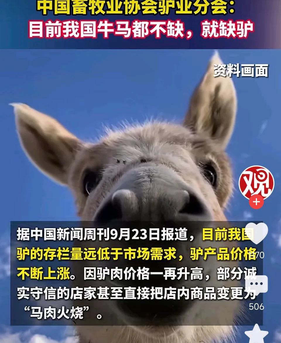 中国畜牧业协会驴业分会:目前我国牛马都不缺，就缺驴！网友表示：你们肯定没少