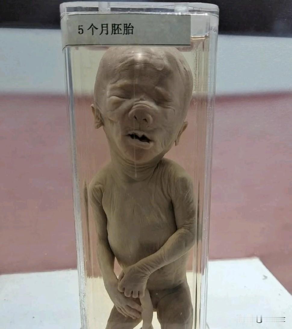 大连孕妇人体塑化标遭争议。首先遭到‌伦理质疑‌：有人在一个国际展览中看到