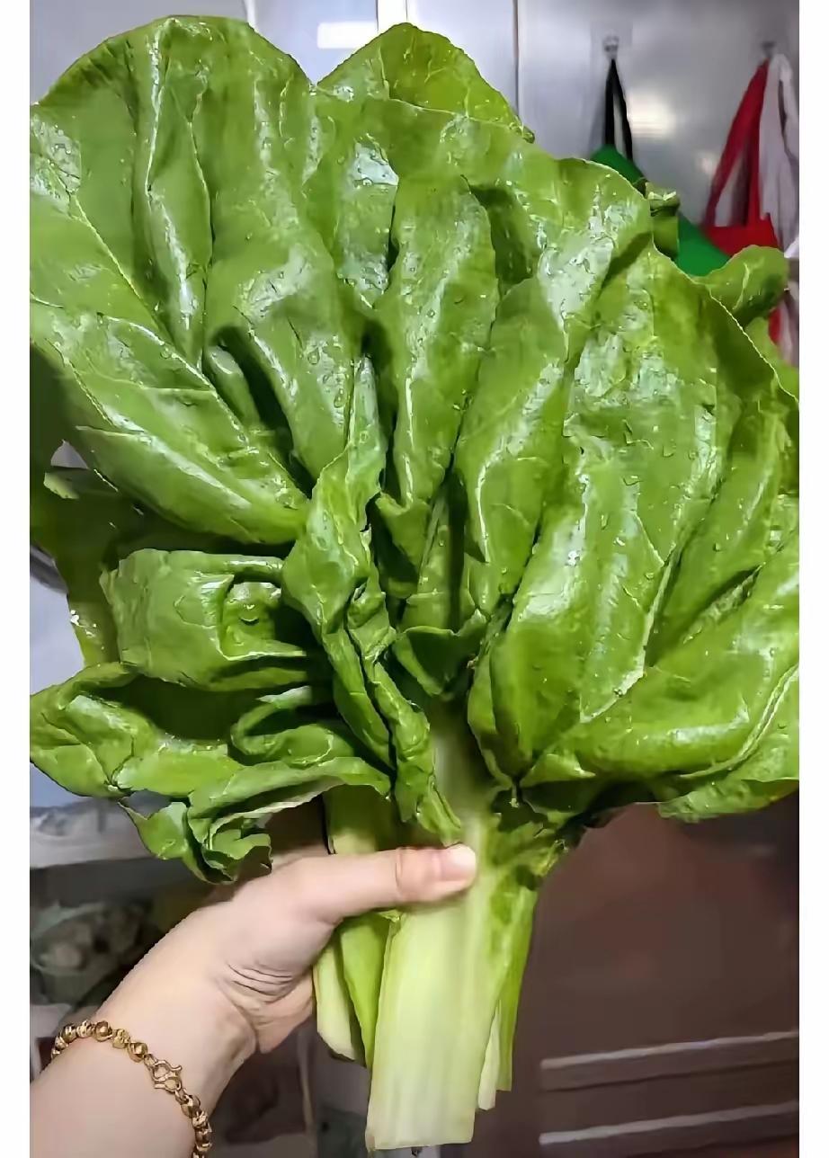 我问了二十多个人，居然没人认识这菜！今天隔壁张阿姨塞给我一把，我活了三十年第一次