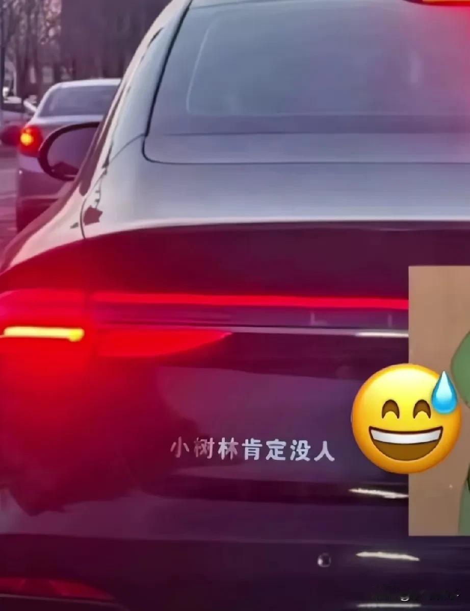 幽默搞笑的车贴标语。1，林肯——小树林肯定没人2，长安——擅长安慰别人3，