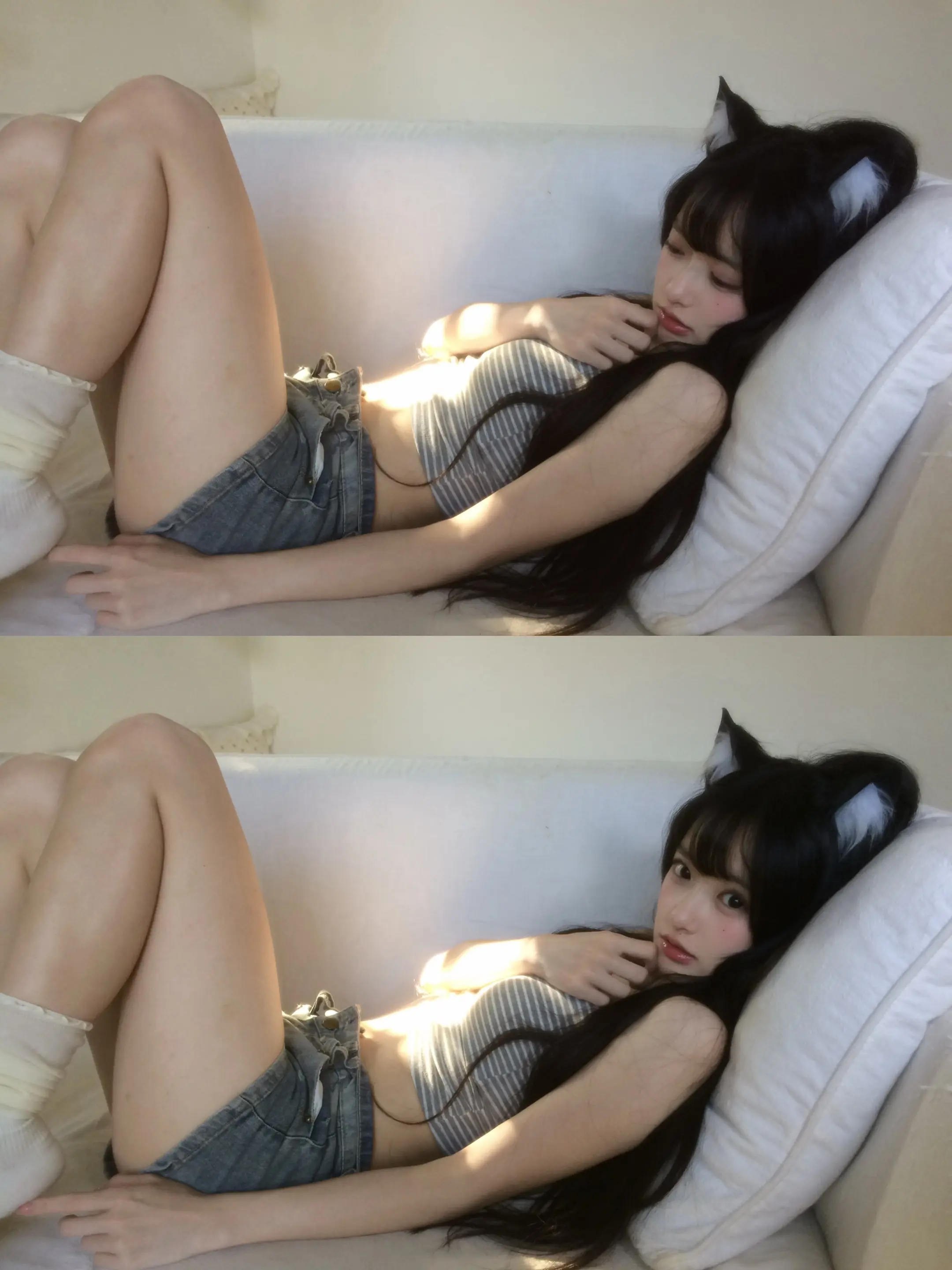 小猫不知道 小猫想睡觉_(:_」∠)_