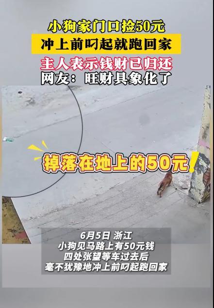 “简直是成精了！”6月5日，浙江一小狗在家门口玩耍，突然看到路边有一张50元钞票