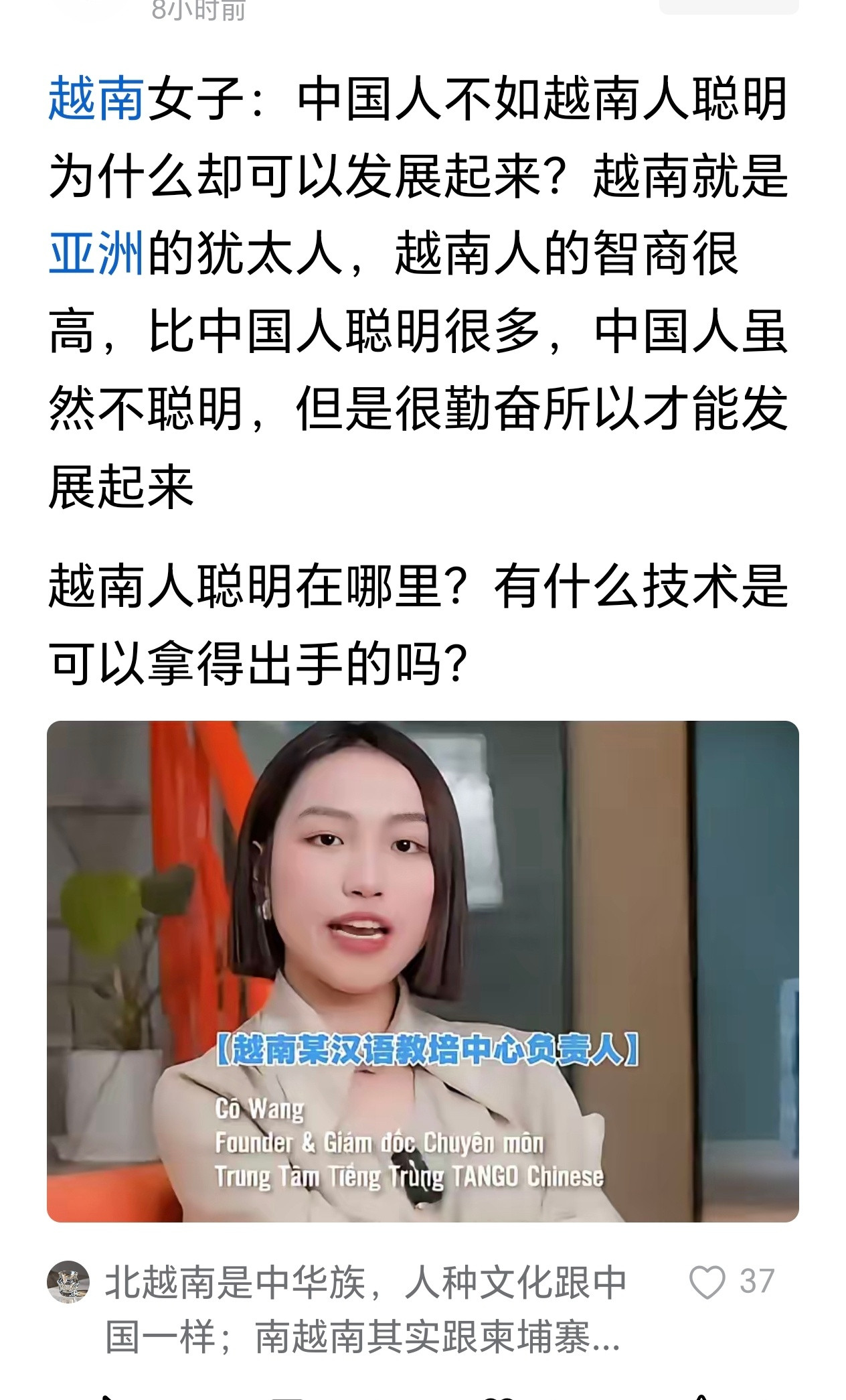 越南人聪明在哪里？有什么技术是可以拿得出手的吗？