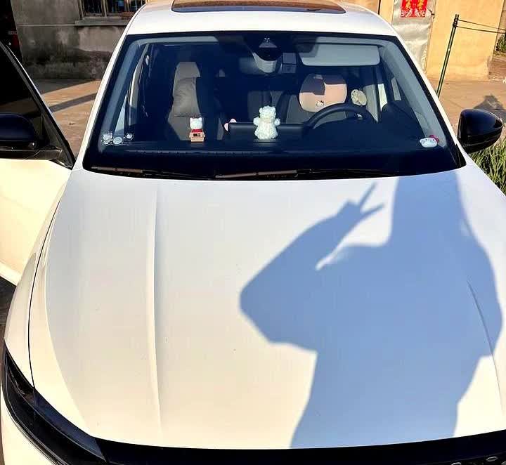 当初买车的时候，家里人都建议我买卡罗拉，说它省油。我转身就提了大众朗逸，