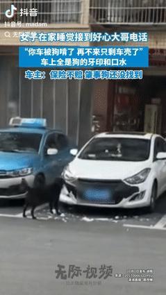 “悲剧还是发生了！”10月5日报道，湖南吉首一女子在家睡觉时，突然接到陌生大哥的