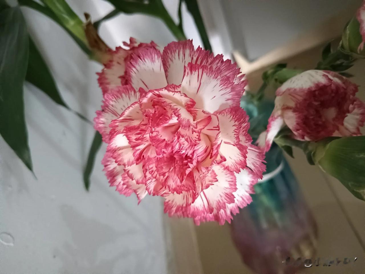 我发现了一个奇怪的现象。女孩子不管长得多丑，或者有缺陷，都能轻易的嫁人。