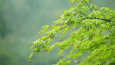 正月初七下雨，有啥说法？正月初七是“人日子”，老辈人最看重这天的天气。