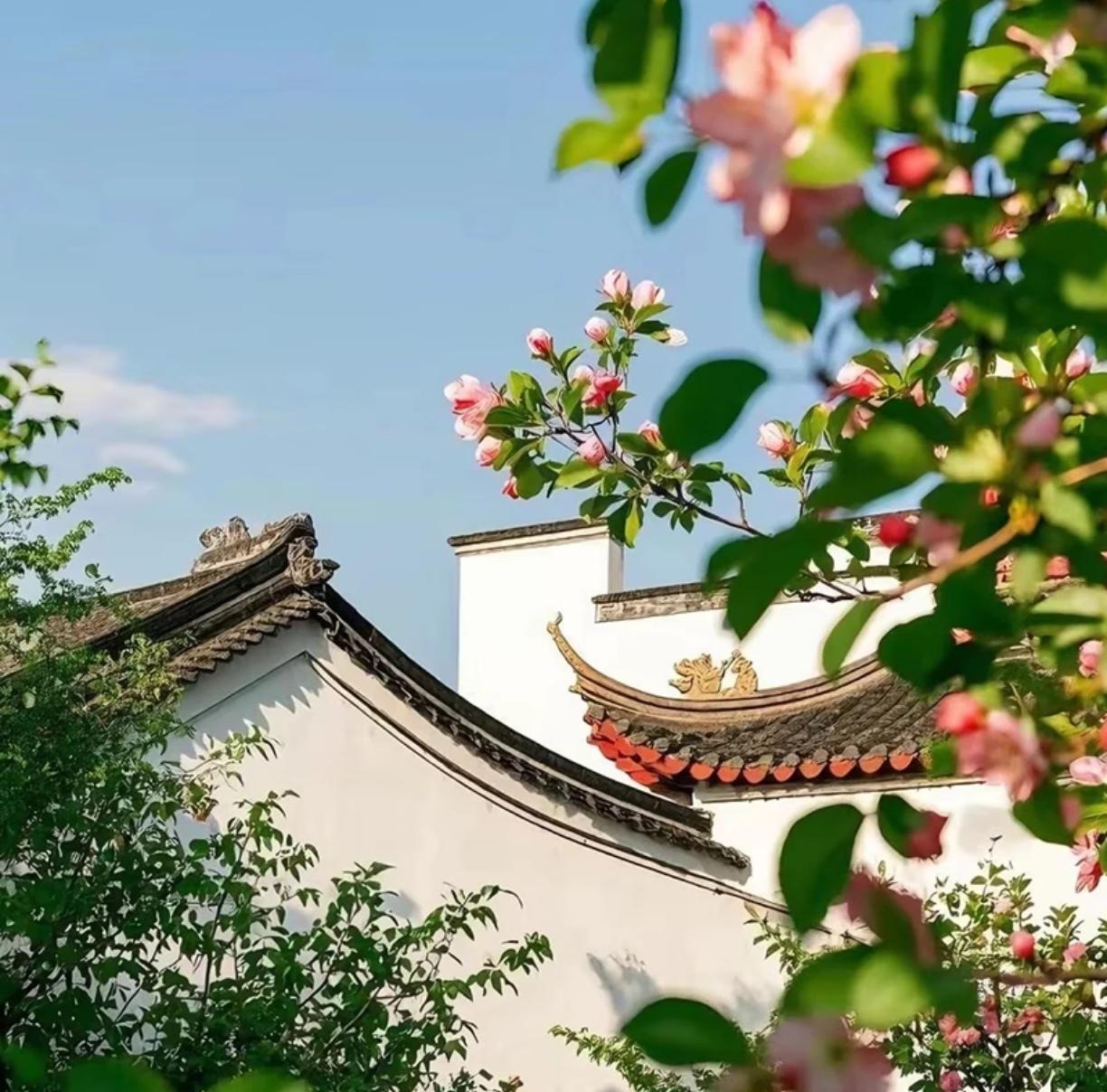 儿媳妇说冬至时候没回来陪我们，今天晚上要回家吃饭，我拒绝了。昨天冬至，儿子打