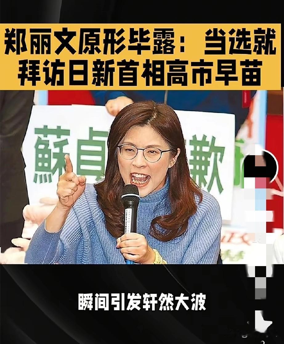 破案了，郑丽文急着冲国民党党魁，不是因为她多爱国民党，也不是因为她多有治党