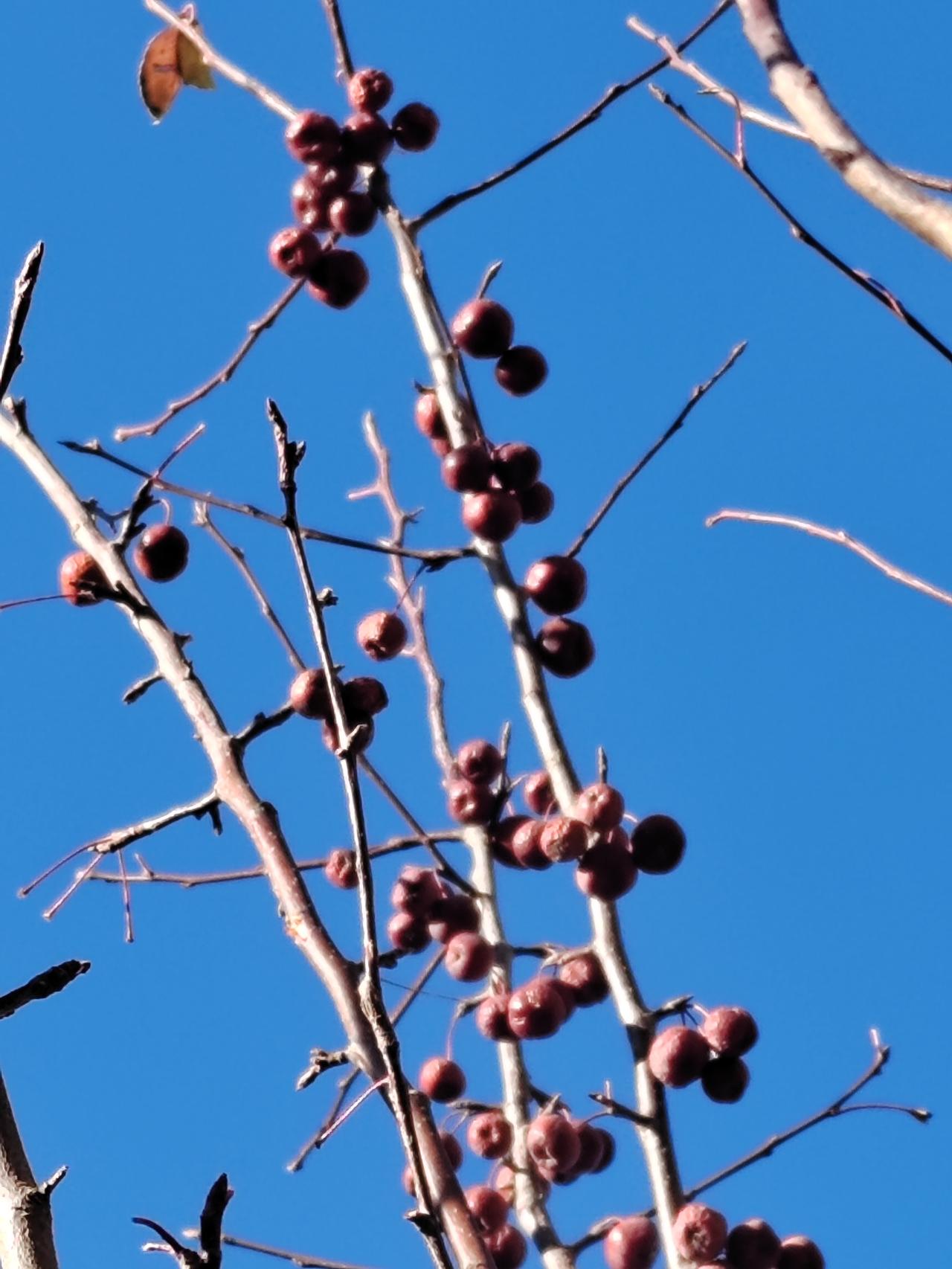 十二生肖里，属蛇的人最老实？不是那么回事！常听人说属蛇的人最老实，其实压根