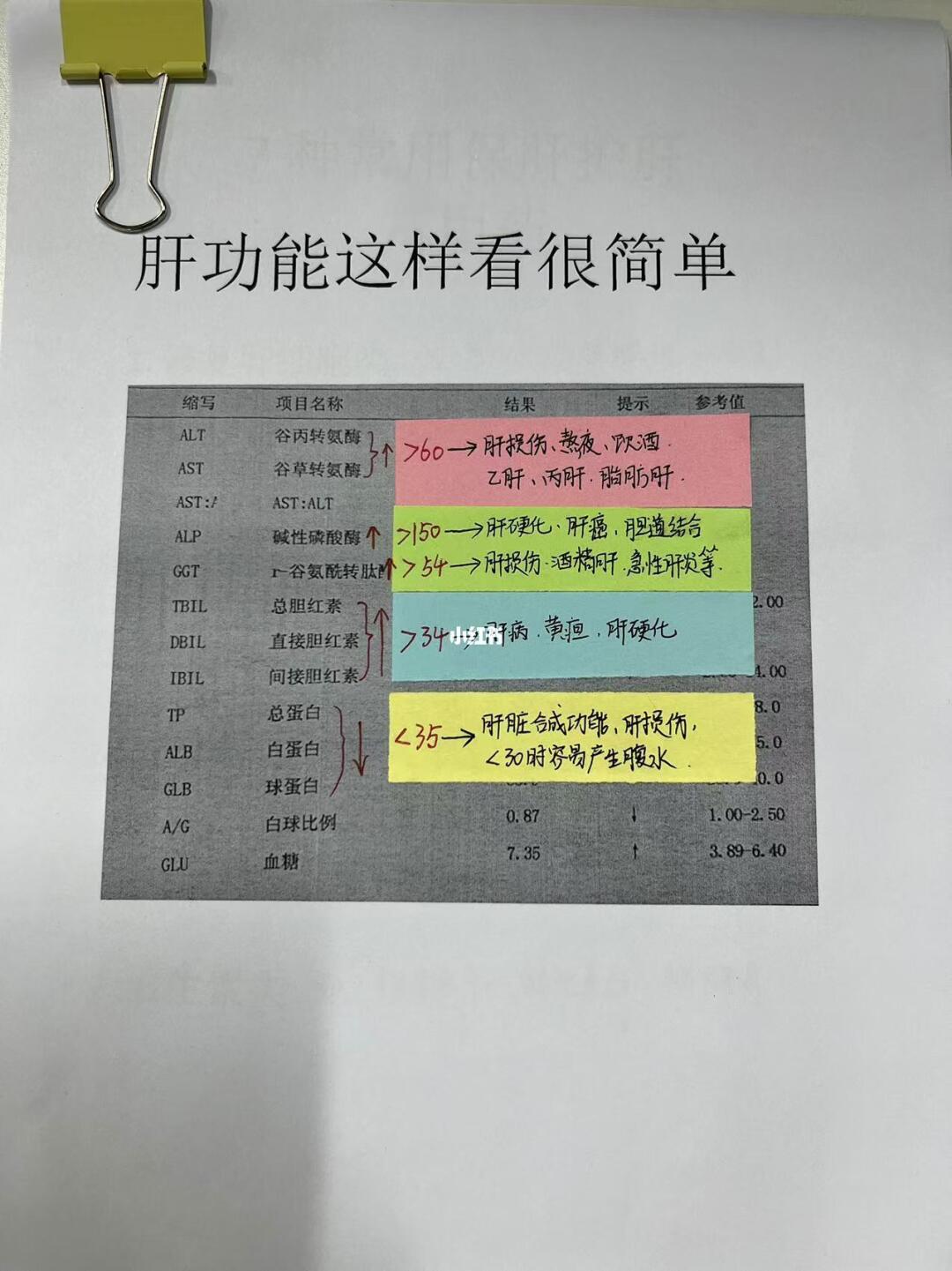 ﻿肝功能﻿ ﻿科普﻿ ﻿肝脏健康﻿ ﻿山东﻿ ﻿乙肝﻿