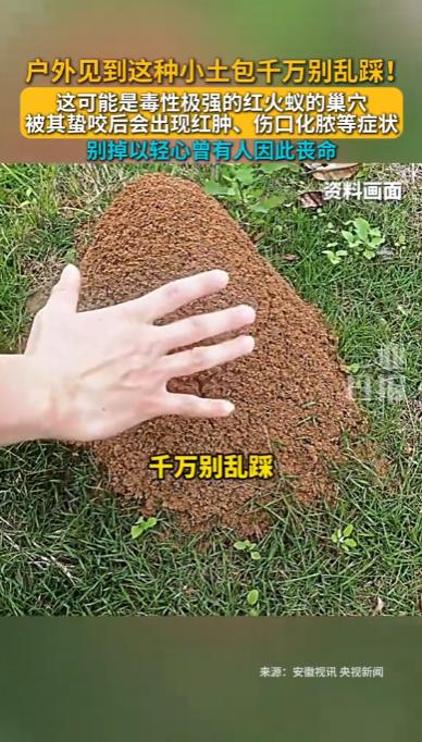 “警惕！”广东广州多个公园草坪上出现神秘小土包，不少露营市民差点中招，未曾想这竟