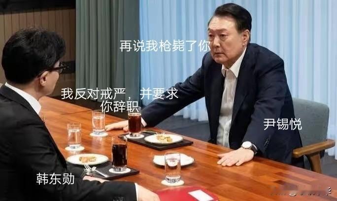 政治盟友的生命在权力利益面前如同草芥般，尹锡悦是国民力量党推举出来的总统人选，而