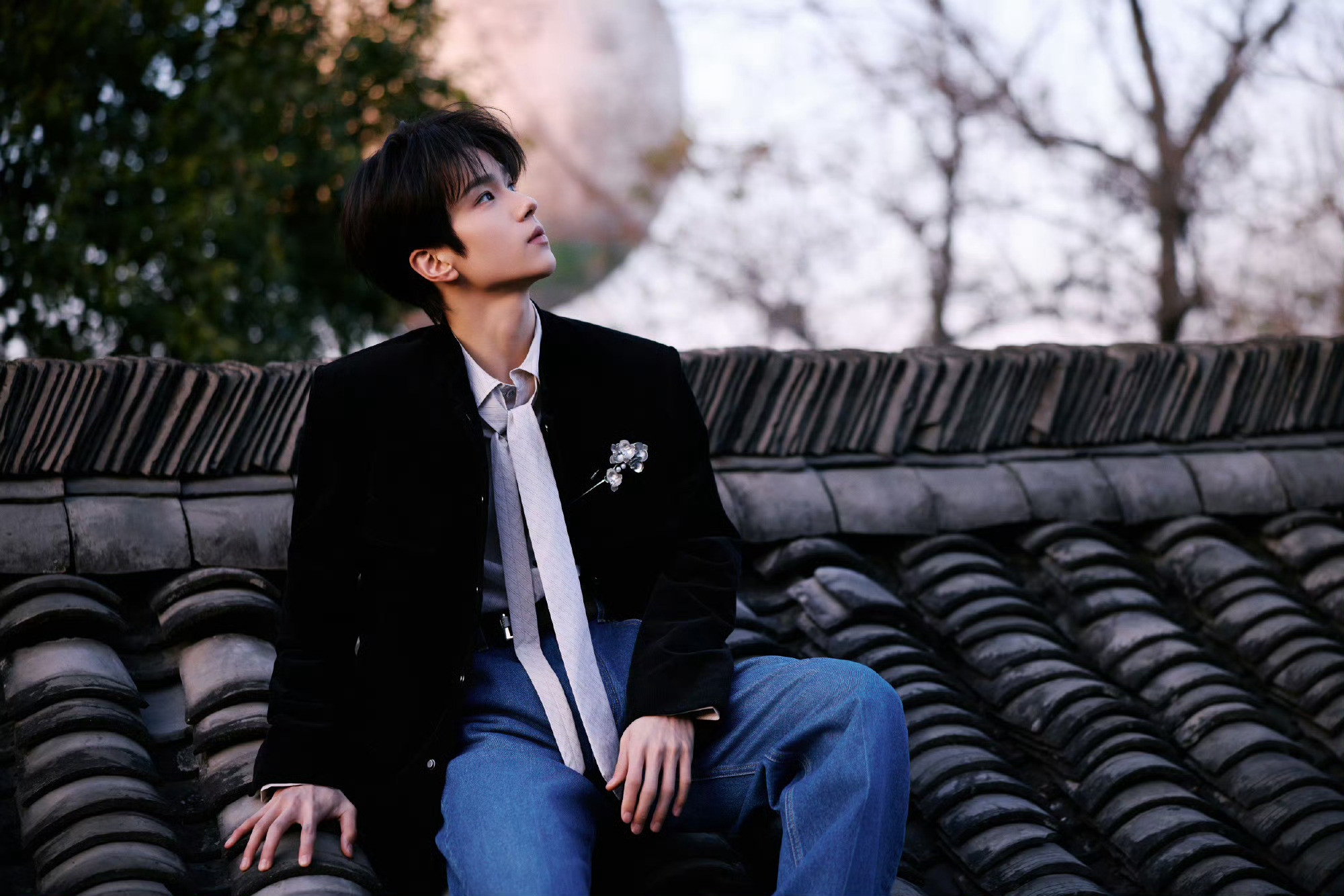 余承恩这组图透露着高雅的江南气息，冷脸萌的小狗