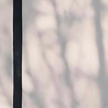 每日一善“当你仰望星空时，星空也在仰望你！”实时号检测