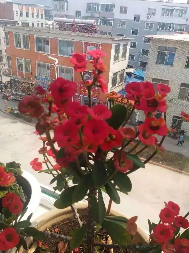 养老院里会有勾心斗角现象吗？我觉得大概率是有的，毕竟有人的地方就有江湖。之前听