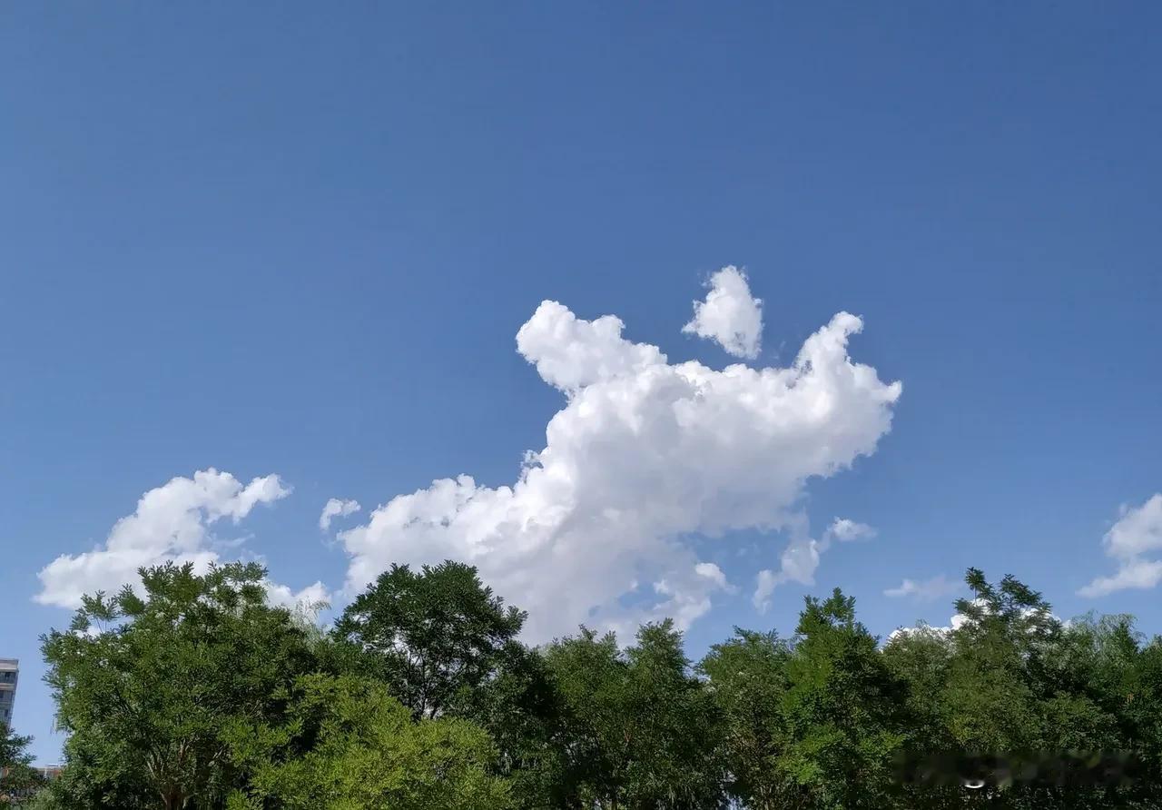 一位老实人说：“能把人往死里整的人，都不是什么好东西。明知道对方单纯善良又老实，