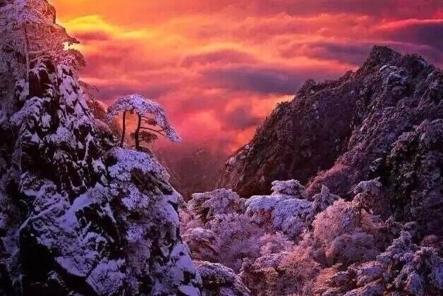 张家界的雪，宛若人间仙境，美得出尘。一下雪，张家界就成了神仙界！