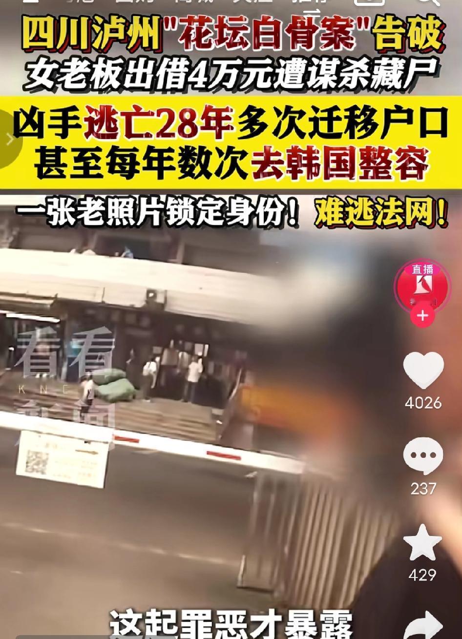 天网恢恢！四川泸州“花坛白骨案”告破：女老板借4万元竟遭谋杀，凶手疯狂“换脸”逃