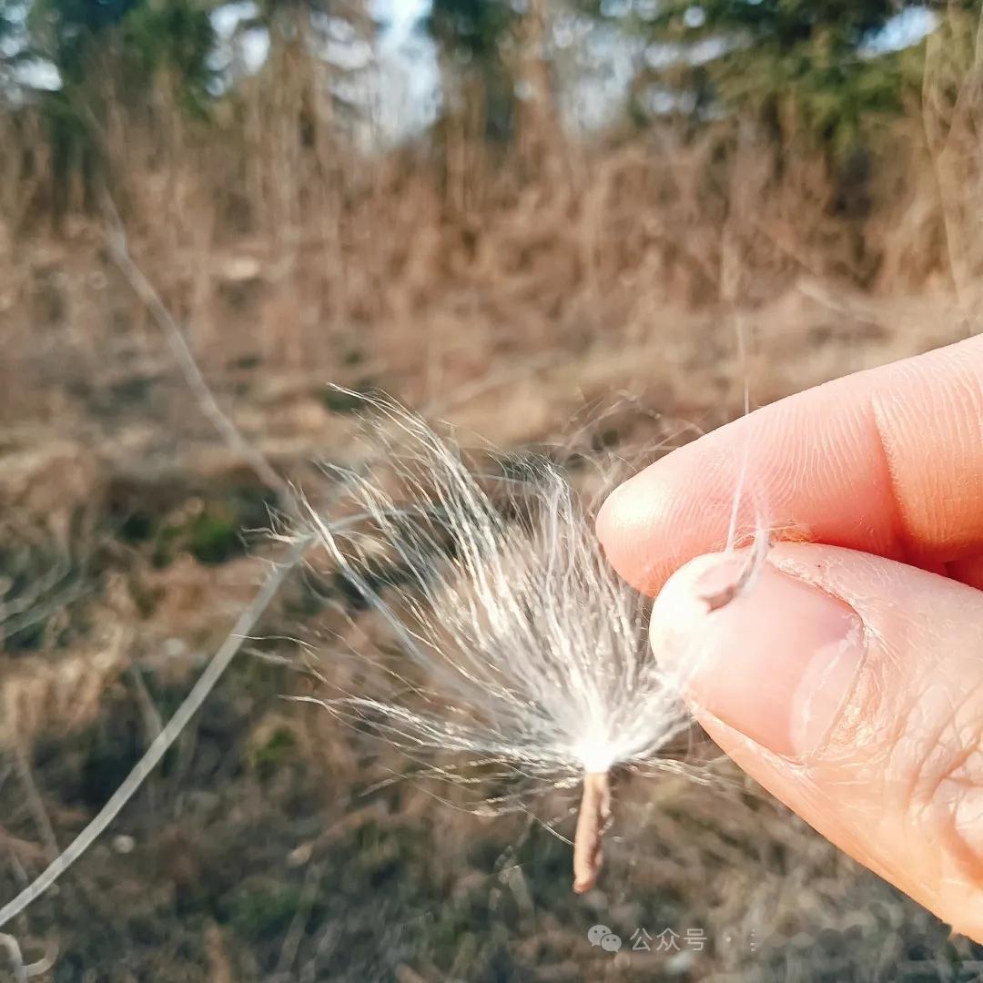 70岁老两口分12万积蓄给儿女，竟引全家反目：人到晚年，别犯这蠢错人到晚年