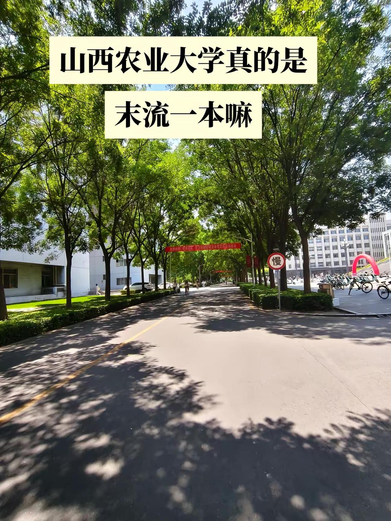 山西大学的水平到底是什么呢。学校风景镜头下的校园