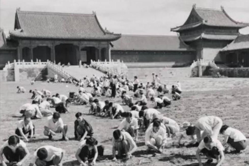 你可能看过故宫的金碧辉煌，但很难想象它曾经不是博物馆而是一座巨大的垃圾场；194