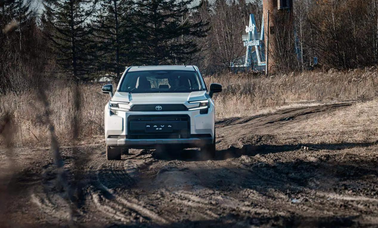 听我一句劝，现在的人买车：40％的人——买混动车30％的人——买燃油车30