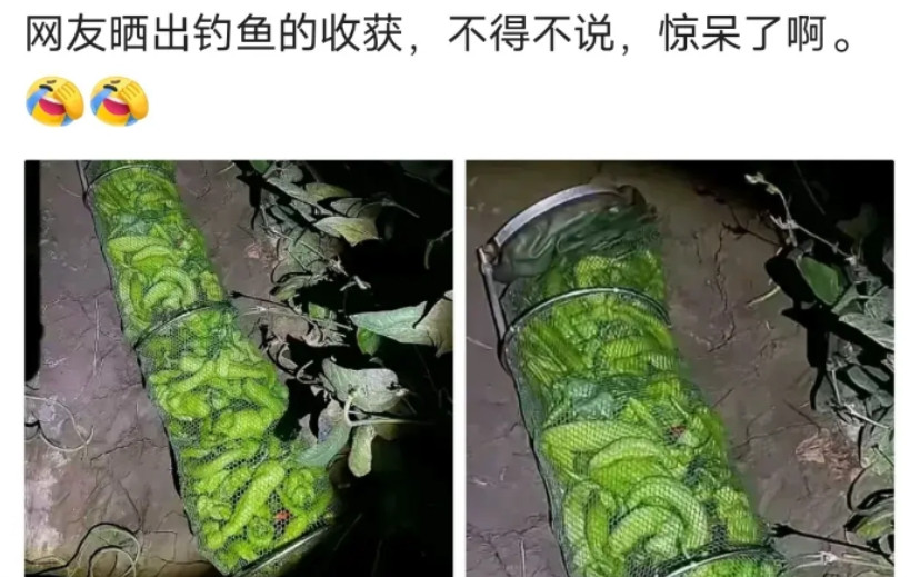 这兄弟一个人把钓友的人品拉到底了