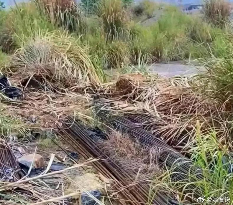 暴打的可能性比较大