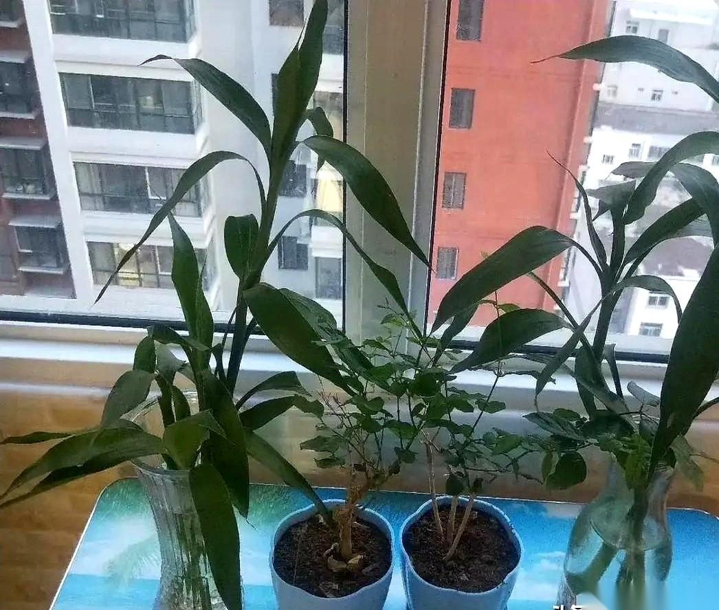 新员工手册钉在墙上的那一刻，车间里罕见地安静了几秒。大家凑过去，死盯着白纸黑字