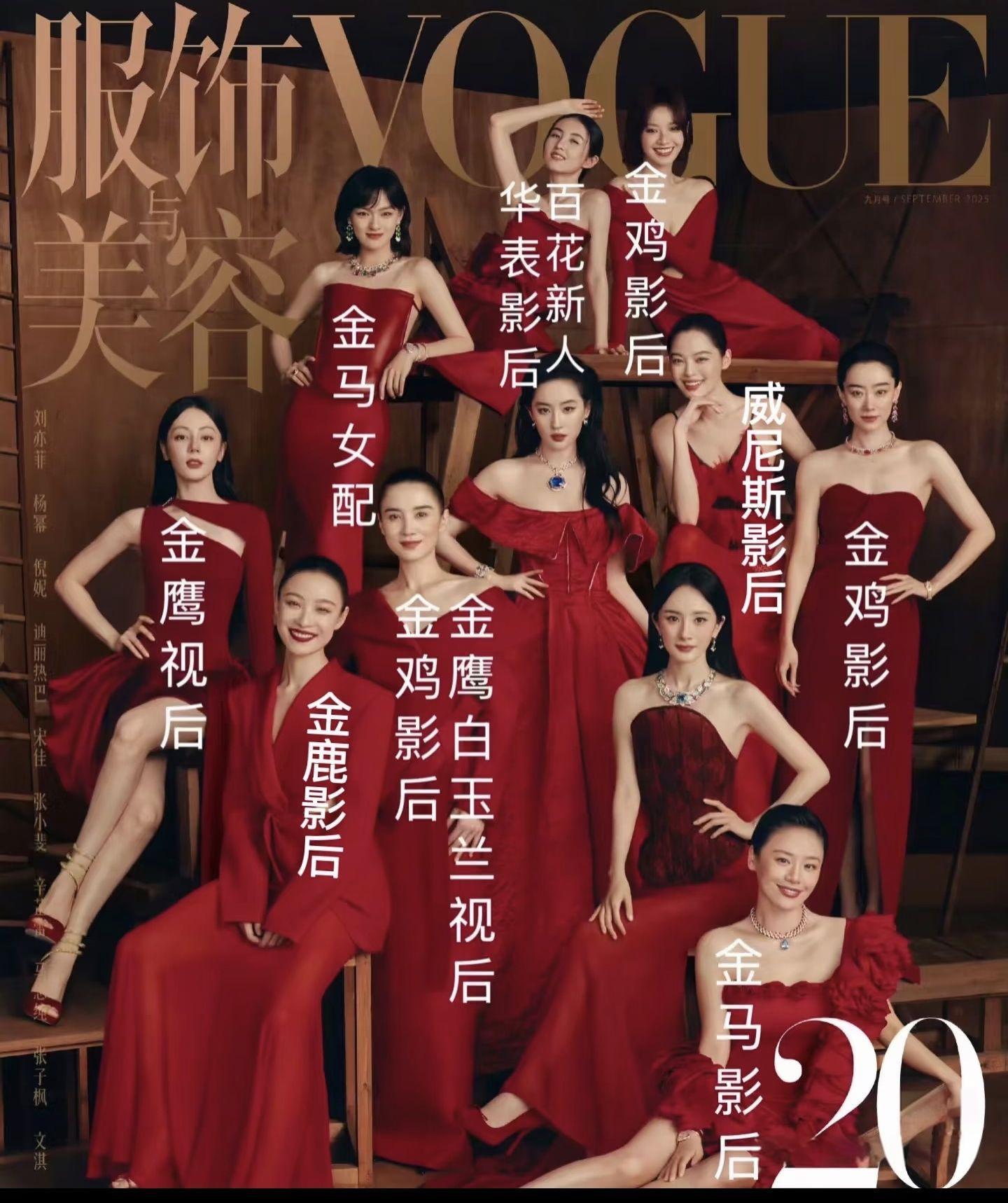 不过我真的豆包了刘亦菲的奖项，按说不应该啊，她那么多作品。