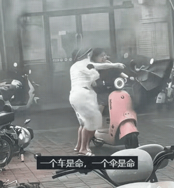 简直诠释了什么叫舍命不舍财！12号台风“红霞”登陆广东，狂风肆虐，户外风力大到