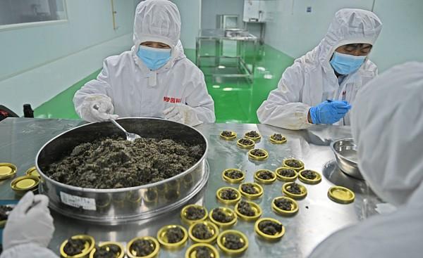 英媒急了！怎么又是中国？中国现在好多产业都在往高端走，连以前全靠进口的奢侈食