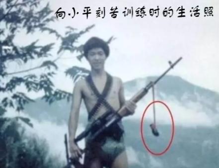 1988年两山轮战时，我军某部通讯兵截获了越军一条奇怪的电报，大意是:一个多月的