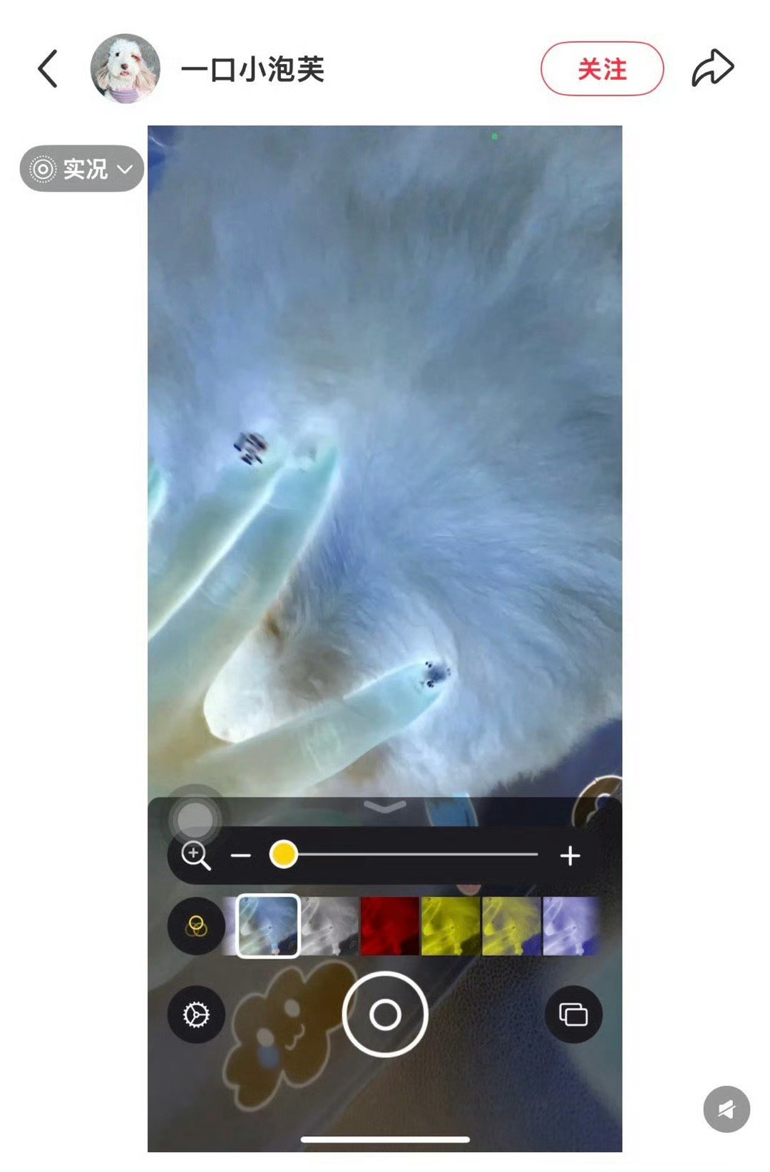 iPhone检查虫子家里有养宠物的朋友，可以来看一下这个新技能，用iPhone