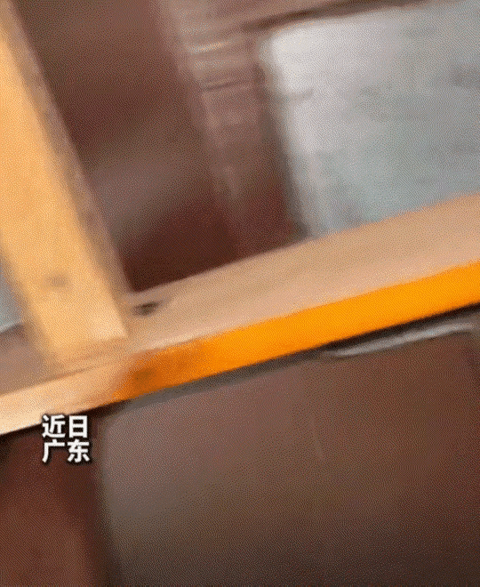 广东一男子凌晨3点酣睡，被床沿“呲呲”的蛀虫啃木声吵醒。深夜里细碎声响格外磨人，